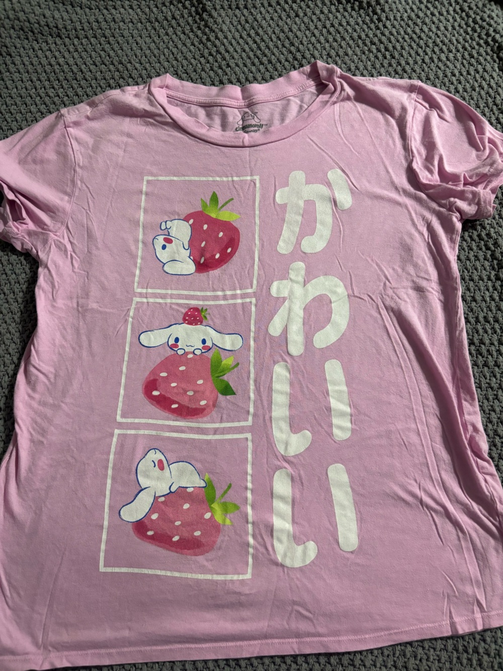 Pink Sanrio Cinnamoroll strawberry graphic tee